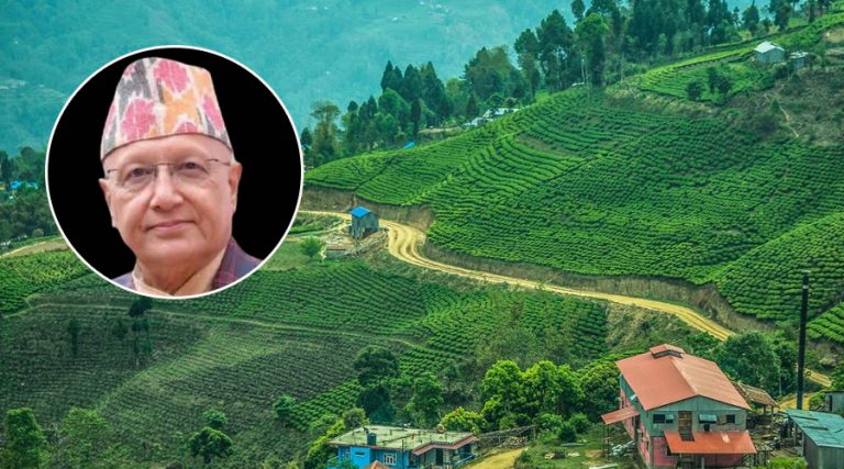 चिया निकासी खोल्न सरकारको खोजी