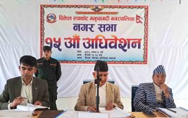 बाँदर धपाउन नगरपालिकाको बजेट