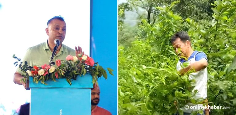 रास्वपा महाधिवेशनमा गएका गगन, नगएका हर्क
