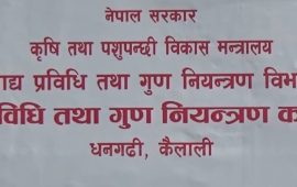 प्लास्टिक पाउचमा ‘फ्लेभर्ड ड्रिंक’ उत्पादन गर्ने २ उद्योगमा सिलबन्दी
