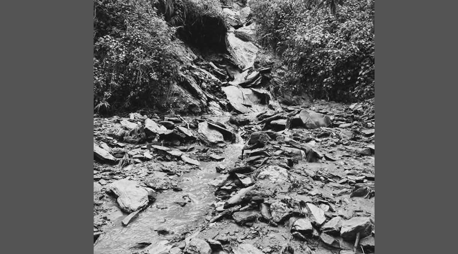 प्युठानमा विद्यालयबाट फर्किरहेका दुई बालक बाढीले बगायो