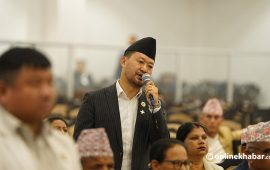 बजेटले युवाहरूमा उत्साह जगाउन सकेन : क्षितिज थेबे