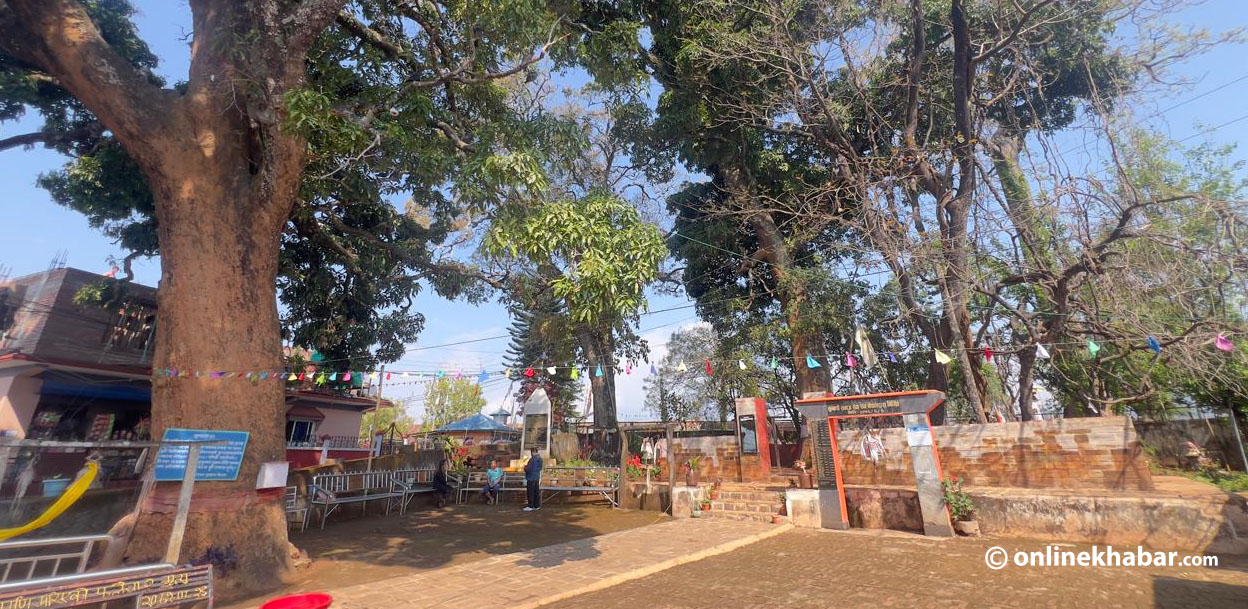 पुर्खाको गाथा जोडिएको ‘माङ्गेन्ना’ र ‘माङ्गेन्ना यक’