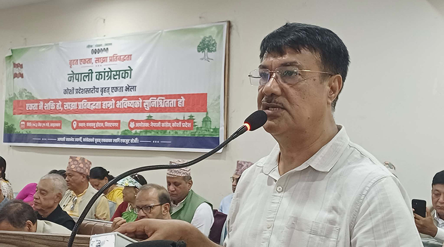 हामीलाई बलियो कांग्रेस चाहिएकाे छ : मीन विश्वकर्मा