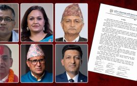 सरकारको शासन शैलीप्रति पापडको चिन्ता, विधिको शासनका न्यूनतम सर्त नबिर्सन आग्रह