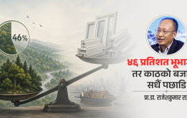आल्मुनियम र यूपीभीसीसँग किन हारिरहेछ सालको काठ ? 