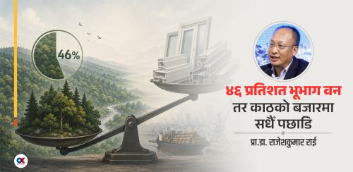 आल्मुनियम र यूपीभीसीसँग किन हारिरहेछ सालको काठ ? 