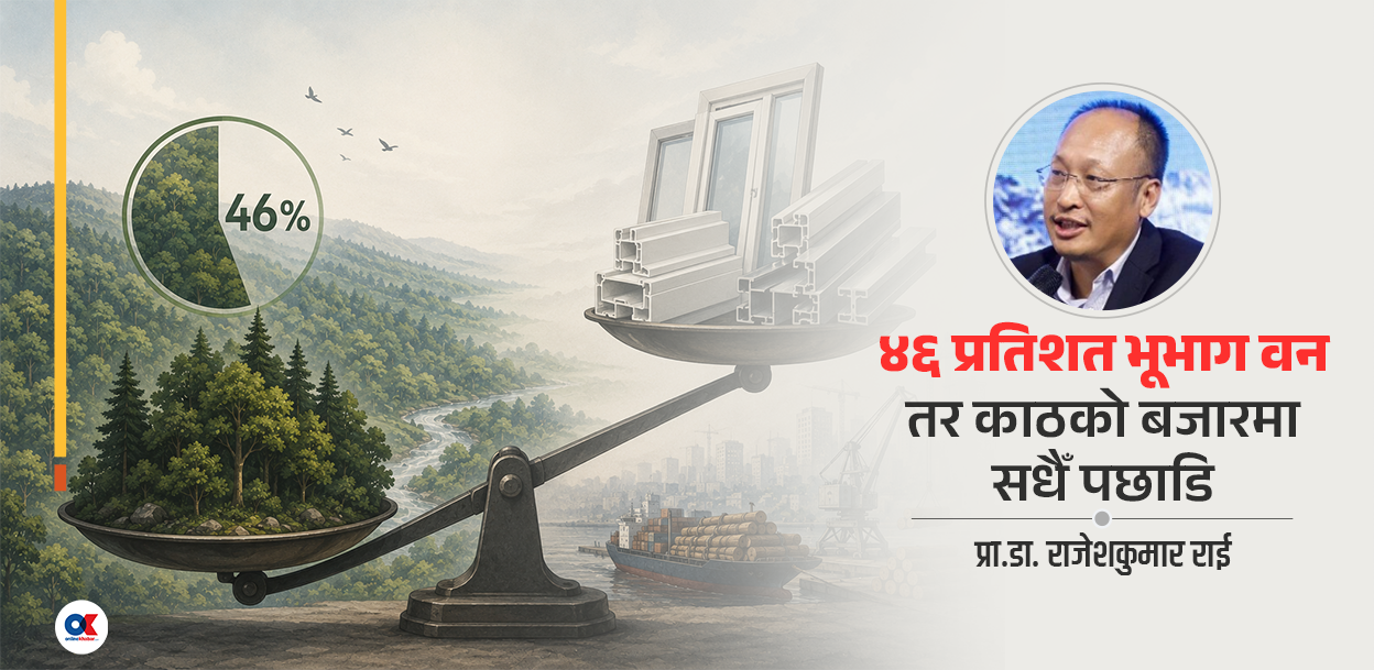 आल्मुनियम र यूपीभीसीसँग किन हारिरहेछ सालको काठ ? 