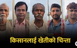 ट्रान्सफर्मर चोरीपछि सिरहाका किसान संकटमा