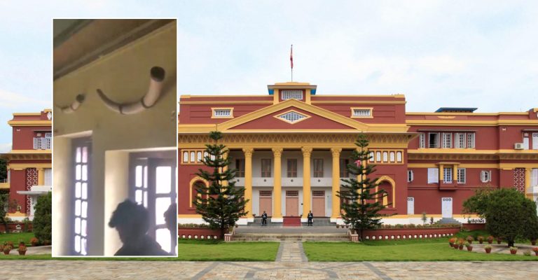 राष्ट्रपति कार्यालयबाट चोरिए हात्तीका दाह्रा