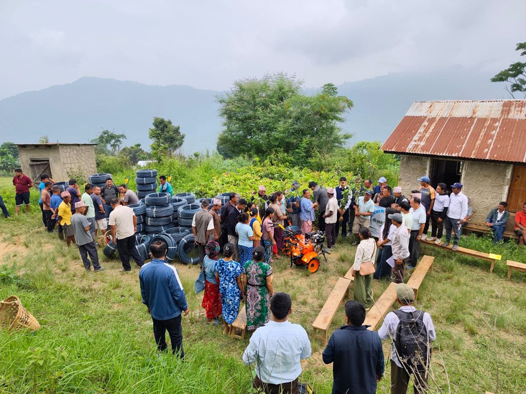 बसाइँसराइले बाँझिएको जमिनमा हरियाली बनाउने छथर जोरपाटीको योजना