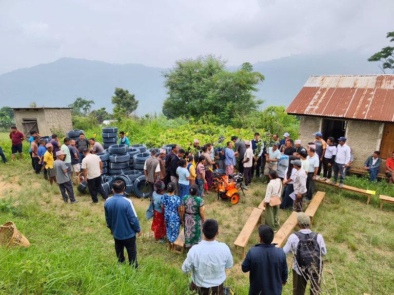 बसाइँसराइले बाँझिएको जमिनमा हरियाली बनाउने छथर जोरपाटीको योजना