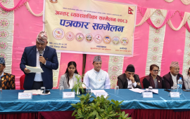 सातै प्रदेश सभामा संघ-प्रदेश समन्वय शाखा स्थापना गरिने