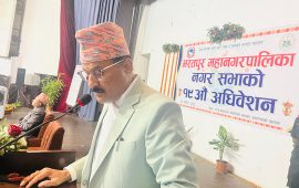 ११ महिनामा भरतपुर महानगरको पुँजीगत खर्च ३७.५४ प्रतिशत मात्रै