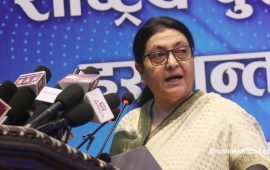 प्रत्यक्ष निर्वाचित कार्यकारी शासन प्रणाली उपयुक्त छैन : पूर्वराष्ट्रपति भण्डारी