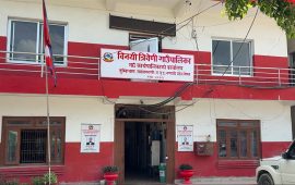 उखु र बेसारखेतीको व्यावसायिक प्रवर्द्धनमा विनयी त्रिवेणी गाउँपालिका