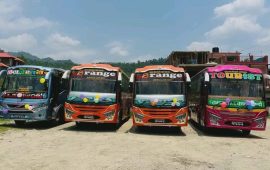 सार्वजनिक सवारी चालकलाई छुट्टै व्यावसायिक लाइसेन्स अनिवार्य गरिने