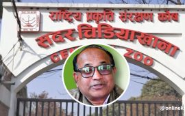 बर्डफ्लु संक्रमण लुकाएको आरोपमा चिडियाखाना प्रमुख साहमाथि छानबिन, पदबाट हटाइयो
