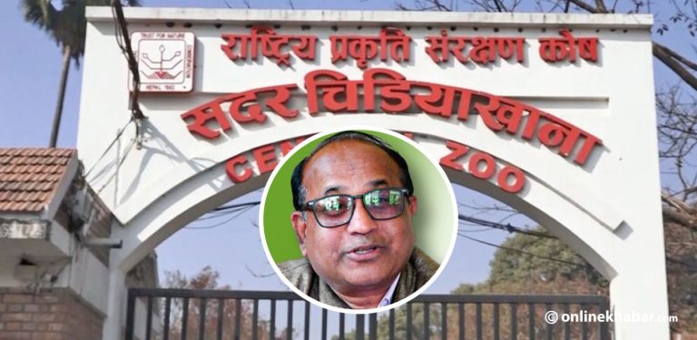 बर्ड फ्लु संक्रमण लुकाएको आरोपमा चिडियाखाना प्रमुख साहमाथि छानबिन, पदबाट हटाइयो