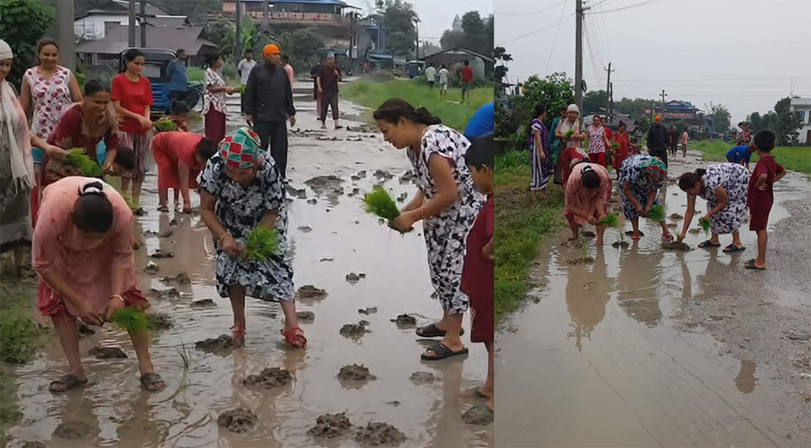 जब दमकवासीले सडकमै धान रोपे