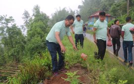 हरियाली नेपालको यात्रामा ‘सगरमाथा वृक्षारोपण महाअभियान’ धनकुटामा सुरु
