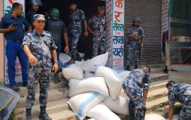 सर्लाहीमा ७५ बोरा फर्सीको बीउ बरामद