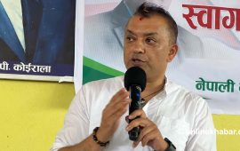 सरकार रास्वपाको नभई देशको विधानले चल्नुपर्छ : गगन थापा