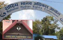 बाढी प्रभावितको उद्धार र पुनःस्थापनामा ध्यान दिन मानव अधिकार आयोगको अपिल