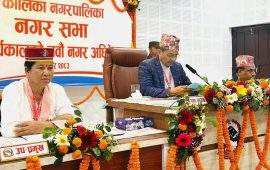 चितवनको कालिका नगरपालिकाले ७०० युवायुवतीलाई उद्यमशील बन्न तालिम दिने