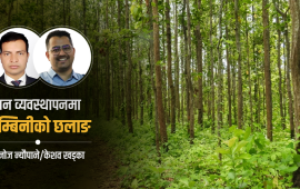 लुम्बिनीमा किन आवश्यक पर्‍यो वन परिषद् ?