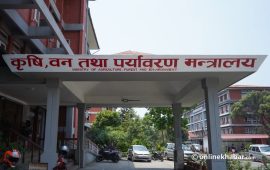 मानव-वन्यजन्तु द्वन्द्व व्यवस्थापन गर्न सरकारले माग्यो सुझाव