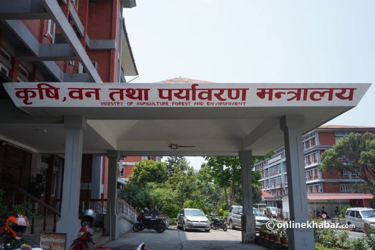 मानव-वन्यजन्तु द्वन्द्व व्यवस्थापन गर्न सरकारले माग्यो सुझाव
