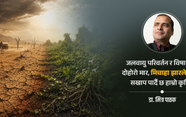 मर्दै गरेको माटोलाई मिचाहा वनस्पति र विषादीको मार