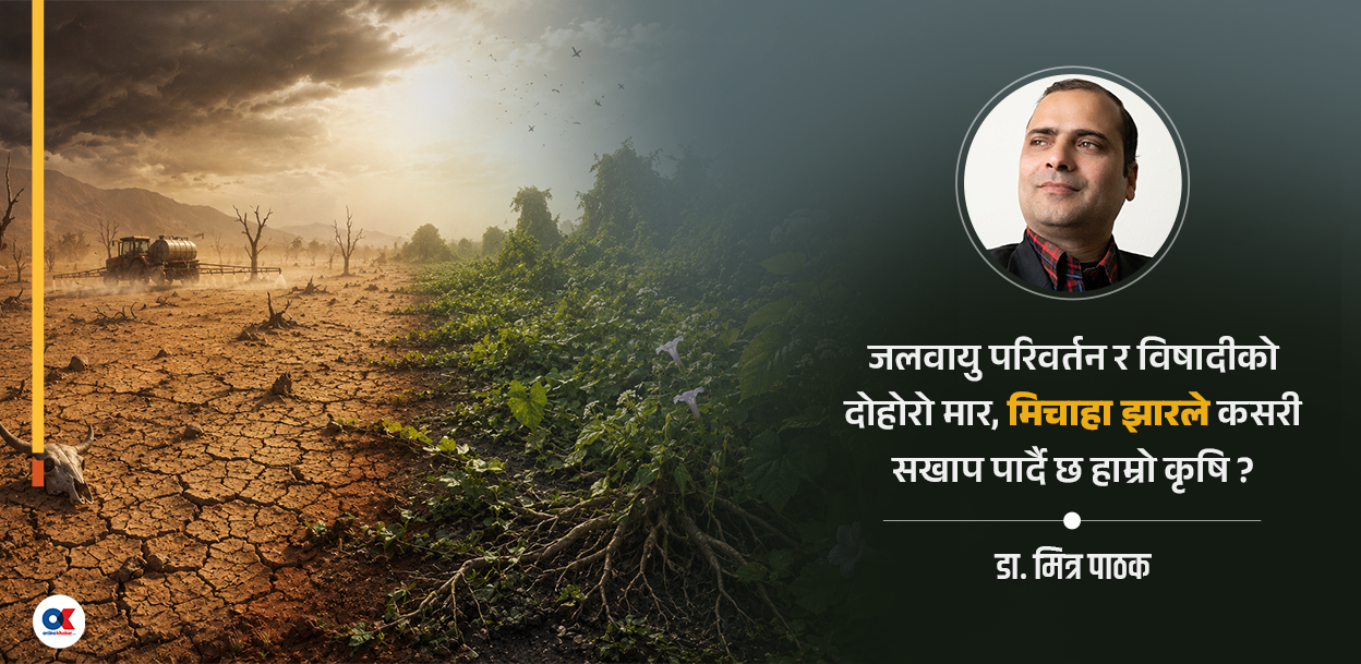 मर्दै गरेको माटोलाई मिचाहा वनस्पति र विषादीको मार