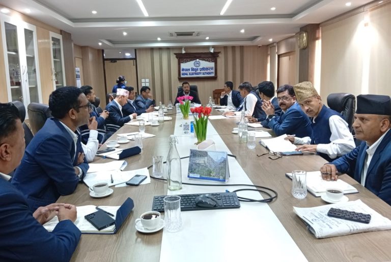 बजेट कार्यान्वयनका लागि स्पष्ट कार्ययोजना बनाउन प्राधिकरणालाई ऊर्जामन्त्रीको निर्देशन
