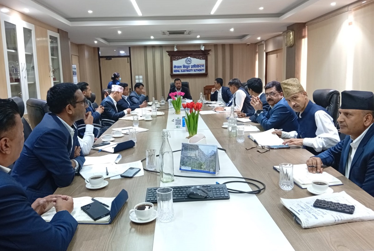 बजेट कार्यान्वयनका लागि स्पष्ट कार्ययोजना बनाउन प्राधिकरणालाई ऊर्जामन्त्रीको निर्देशन