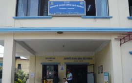 अवैध गतिविधि हुने भन्दै कालो सिसाका सवारीमाथि ट्राफिकको कडाइ