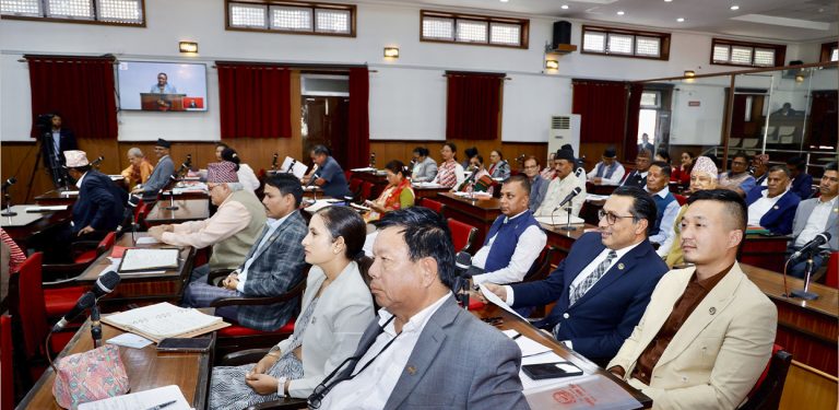 बजेट विनियोजन गर्दा प्रदेश र स्थानीय तहलाई ध्यान दिन सांसदको माग
