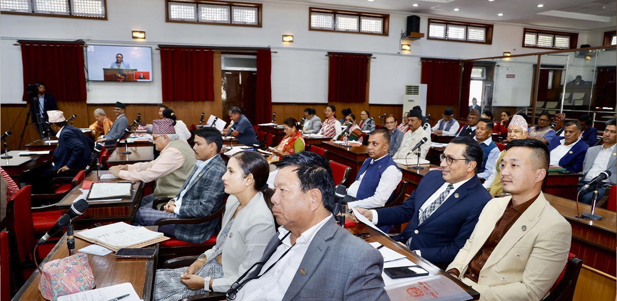 बजेट विनियोजन गर्दा प्रदेश र स्थानीय तहलाई ध्यान दिन सांसदको माग