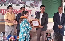 २३औं राष्ट्रिय धान दिवसमा अनलाइनखबरकर्मी काफ्ले सम्मानित