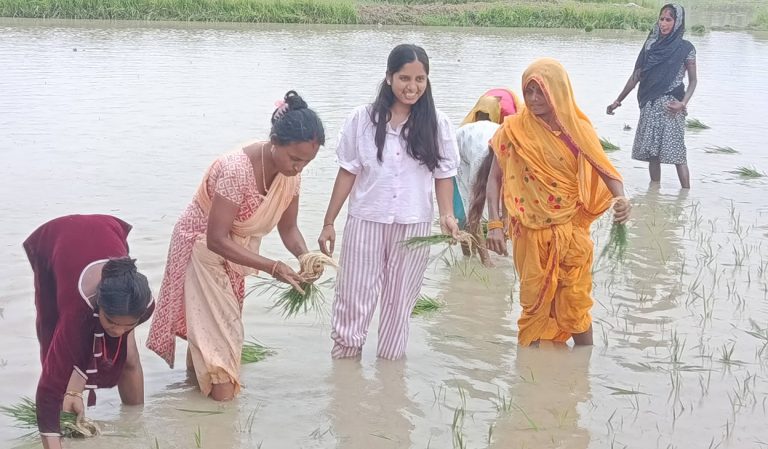 धान दिवस : उपसभामुख ठाकुरले जनकपुर पुगेर आफ्नै खेतमा रोपिन् धान