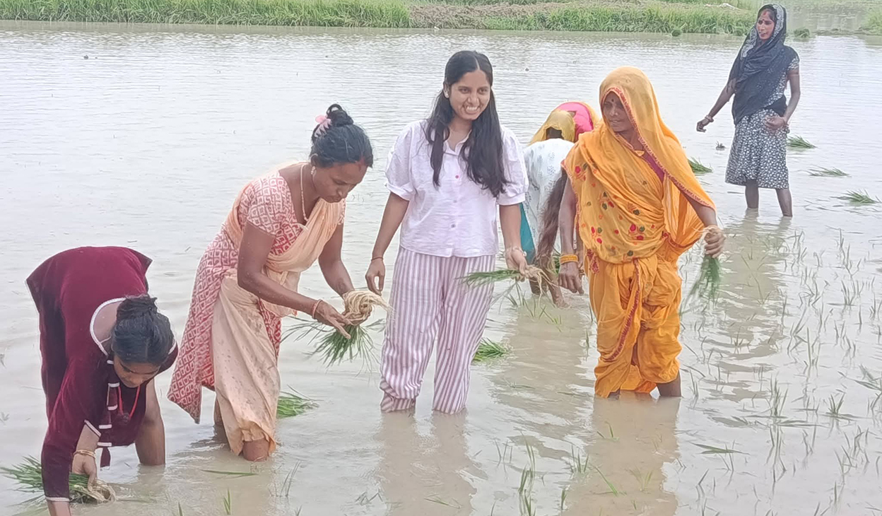 धान दिवस : उपसभामुख ठाकुरले जनकपुर पुगेर आफ्नै खेतमा रोपिन् धान