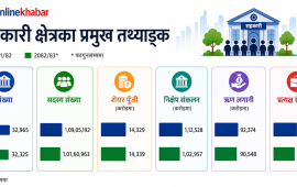 ८ महिनामै सहकारीको बचत एक खर्ब घट्यो, कोपोमिसमा छैन विश्वसनीयता