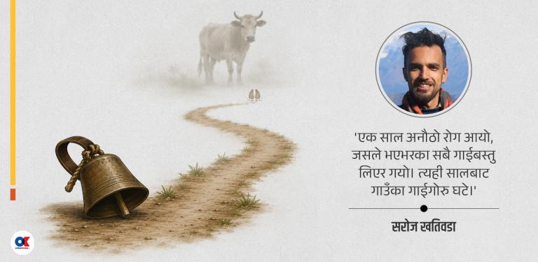 गाई खोज्दै जाँदा