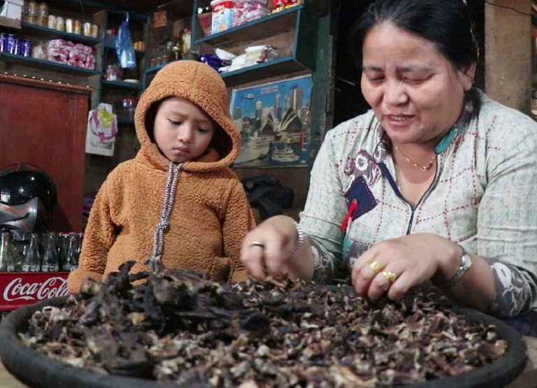 तेह्रथुमको सुकुटी : परदेशको कोसेली