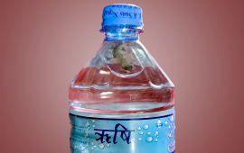 सिल प्याक पानीको बोतलभित्र भेटियो छेपारो