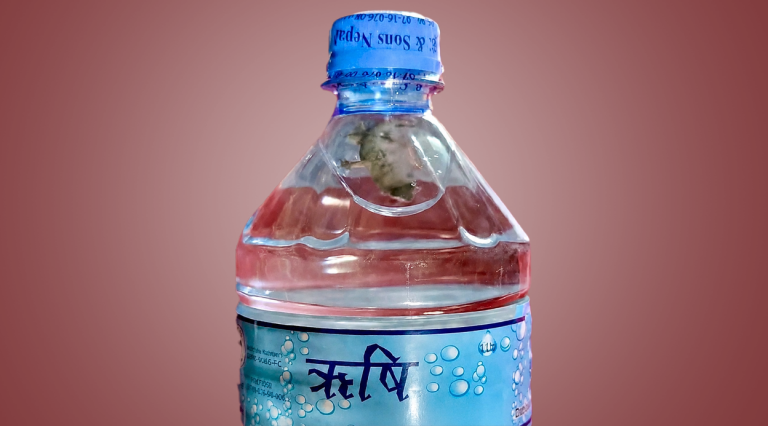 सिल प्याक पानीको बोतलभित्र भेटियो छेपारो