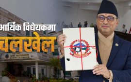 विधायिका छलेर करका दरमा मनलाग्दी संशोधन