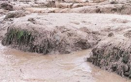 कुलेखानी नजिकैको सिमखोलाको बाढीमा बगेर स्कुटरसहित चालक बेपत्ता