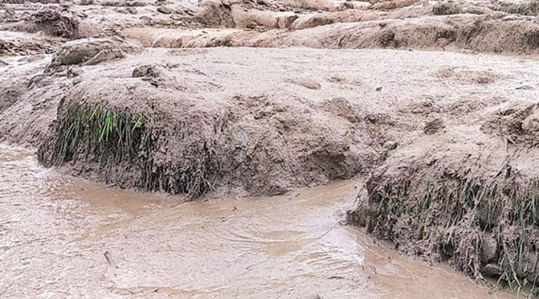कुलेखानी नजिकैको सिमखोलाको बाढीमा बगेर स्कुटरसहित चालक बेपत्ता